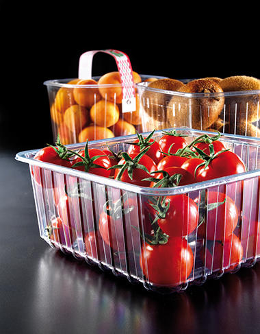 Food and fruit vacuum packaging
